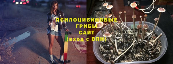 прущий лед Лиски