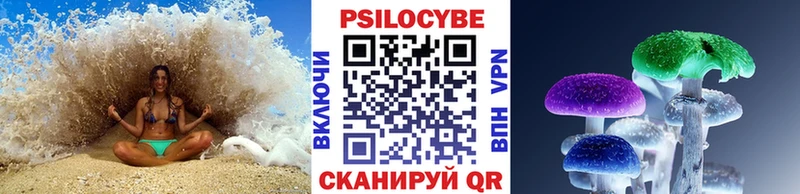 Псилоцибиновые грибы Psilocybine cubensis  Новоульяновск 